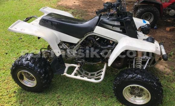 Tenga Tsaru Yamaha Blaster Chena Bike in Harare in Harare Tenga Tsaru Yamaha Blaster Chena Bike in Harare in Harare