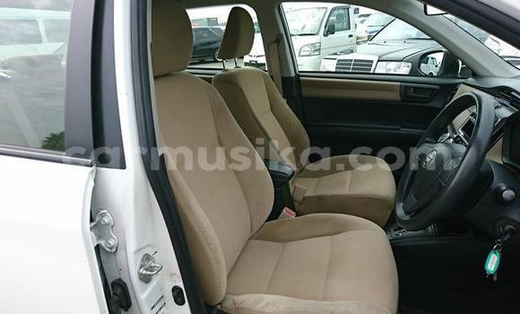 Acheter Import Voiture Toyota Axio Blanc à Beitbridge, Matabeleland South Acheter Import Voiture Toyota Axio Blanc à Beitbridge, Matabeleland South