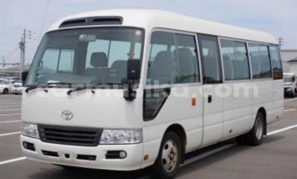 Acheter Occasion Voiture Toyota Coaster Blanc à Beitbridge, Matabeleland South