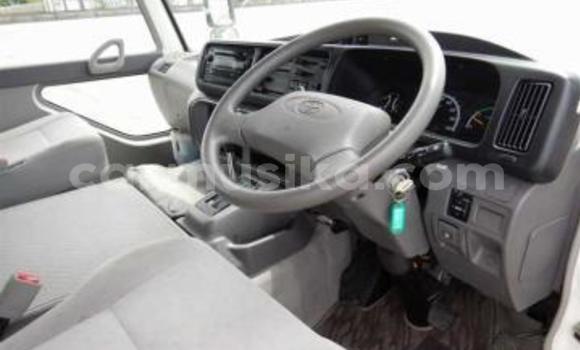 Buy Used Toyota Coaster White Car in Beitbridge in Matabeleland South Buy Used Toyota Coaster White Car in Beitbridge in Matabeleland South