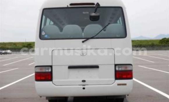 Buy Used Toyota Coaster White Car in Beitbridge in Matabeleland South Buy Used Toyota Coaster White Car in Beitbridge in Matabeleland South