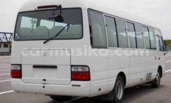 Buy Used Toyota Coaster White Car in Beitbridge in Matabeleland South Buy Used Toyota Coaster White Car in Beitbridge in Matabeleland South