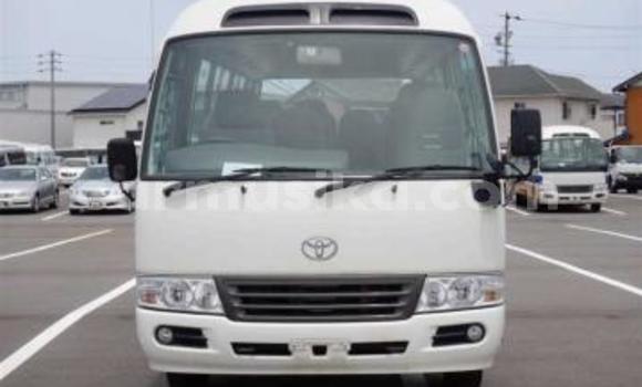 Buy Used Toyota Coaster White Car in Beitbridge in Matabeleland South Buy Used Toyota Coaster White Car in Beitbridge in Matabeleland South