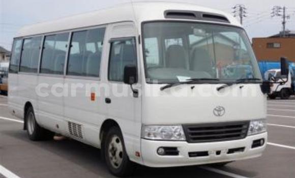 Buy Used Toyota Coaster White Car in Beitbridge in Matabeleland South Buy Used Toyota Coaster White Car in Beitbridge in Matabeleland South