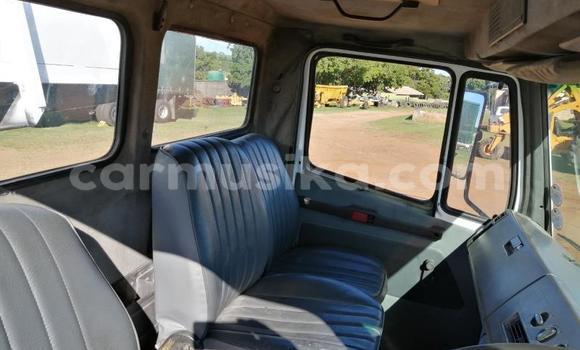 Nunua Ilio tumika Mercedes‒Benz Tipper Nyingine Lori ndani ya Beitbridge nchini Matabeleland Kusini Nunua Ilio tumika Mercedes‒Benz Tipper Nyingine Lori ndani ya Beitbridge nchini Matabeleland Kusini