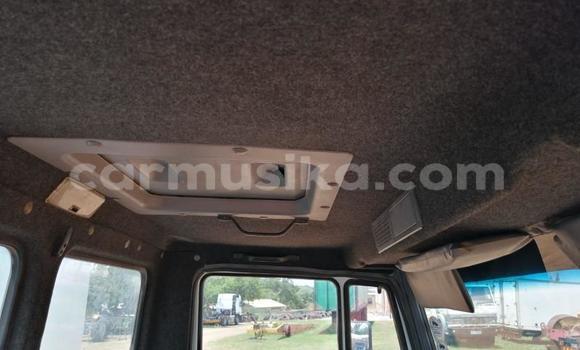 Acheter Occasion Utilitaire Mercedes‒Benz Atego Blanc à Beitbridge, Matabeleland South Acheter Occasion Utilitaire Mercedes‒Benz Atego Blanc à Beitbridge, Matabeleland South