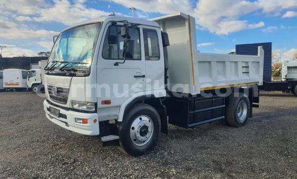 Buy Used Nissan UD White Truck in Beitbridge in Matabeleland South