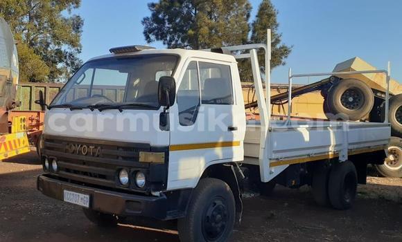 Buy Used Toyota Dyna White Truck in Beitbridge in Matabeleland South