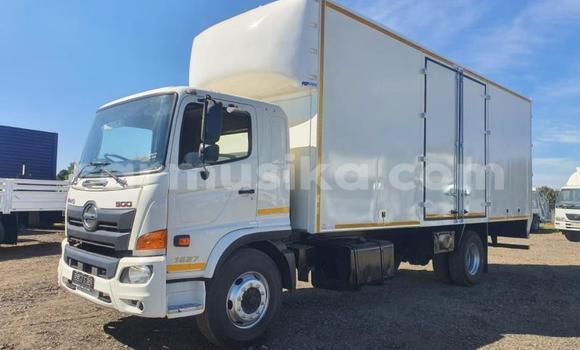 Buy Used Hino 300 Series Other Truck in Beitbridge in Matabeleland South