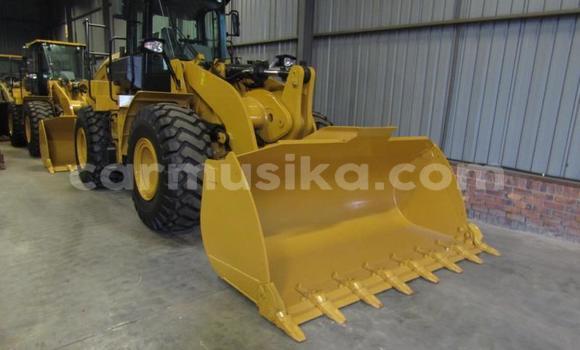 Buy Used Caterpillar 120 Brown Truck in Beitbridge in Matabeleland South Buy Used Caterpillar 120 Brown Truck in Beitbridge in Matabeleland South