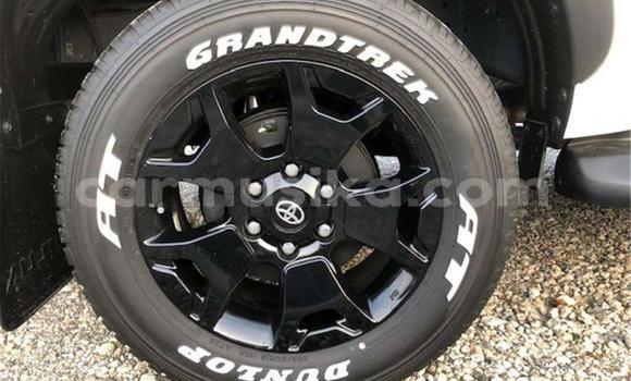 Acheter Import Voiture Toyota Hilux Blanc à Beitbridge, Matabeleland South Acheter Import Voiture Toyota Hilux Blanc à Beitbridge, Matabeleland South