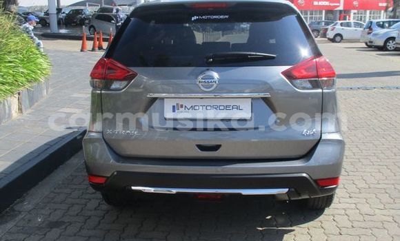 Buy Used Nissan Juke Silver Car in Beitbridge in Matabeleland South Buy Used Nissan Juke Silver Car in Beitbridge in Matabeleland South