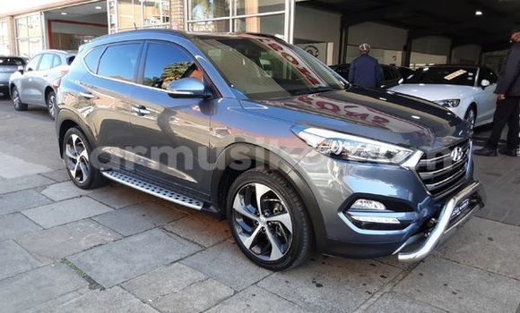 Tenga Tsaru Hyundai Tucson Sirivha Mota in Beitbridge in Matabeleland South