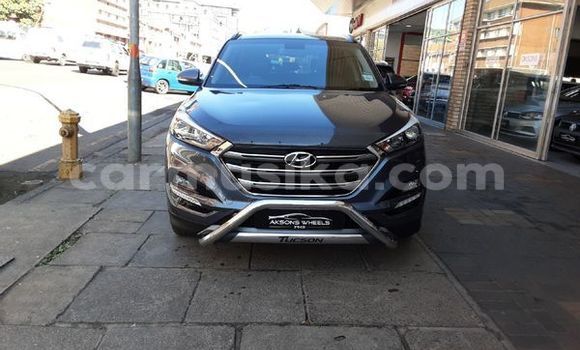 Buy Used Hyundai Tucson Silver Car in Beitbridge in Matabeleland South Buy Used Hyundai Tucson Silver Car in Beitbridge in Matabeleland South