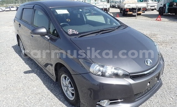 Acheter Occasion Voiture Toyota Wish Gris à Beitbridge, Matabeleland South