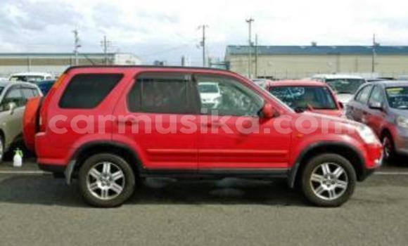 Tenga Tsaru Honda CR–V Tsvuku Mota in Beitbridge in Matabeleland South Tenga Tsaru Honda CR–V Tsvuku Mota in Beitbridge in Matabeleland South