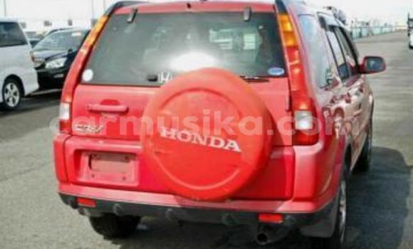 Tenga Tsaru Honda CR–V Tsvuku Mota in Beitbridge in Matabeleland South Tenga Tsaru Honda CR–V Tsvuku Mota in Beitbridge in Matabeleland South