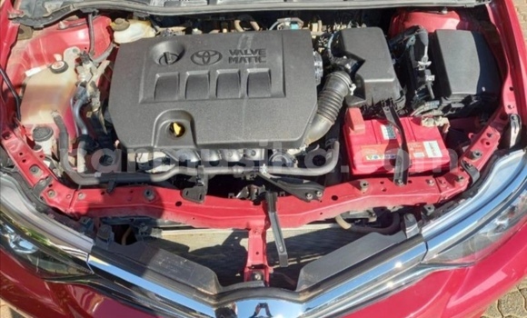 Nunua Ilio tumika Toyota Auris Nyekundu Gari ndani ya Beitbridge nchini Matabeleland Kusini Nunua Ilio tumika Toyota Auris Nyekundu Gari ndani ya Beitbridge nchini Matabeleland Kusini