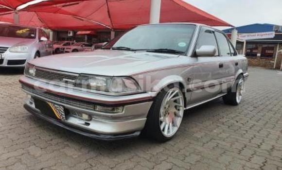 Buy Used Toyota Corolla Silver Car in Beitbridge in Matabeleland South Buy Used Toyota Corolla Silver Car in Beitbridge in Matabeleland South