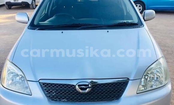 Buy Used Toyota Runx Silver Car in Beitbridge in Matabeleland South