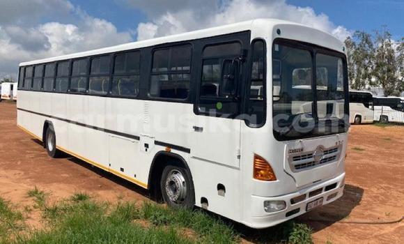 Acheter Occasion Utilitaire Scania R420 Blanc à Beitbridge, Matabeleland South