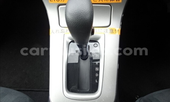 Acheter Occasion Voiture Nissan Sylphy Blanc à Beitbridge, Matabeleland South Acheter Occasion Voiture Nissan Sylphy Blanc à Beitbridge, Matabeleland South