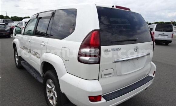 Tenga Tsaru Toyota Prado Chena Mota in Beitbridge in Matabeleland South Tenga Tsaru Toyota Prado Chena Mota in Beitbridge in Matabeleland South