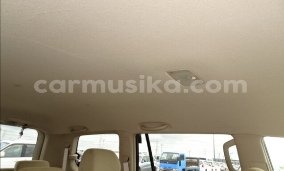 Tenga Tsaru Toyota Prado Chena Mota in Beitbridge in Matabeleland South Tenga Tsaru Toyota Prado Chena Mota in Beitbridge in Matabeleland South