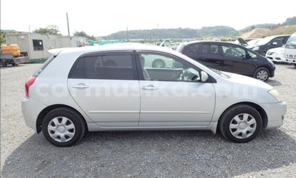 Acheter Occasion Voiture Toyota Runx Gris à Beitbridge, Matabeleland South Acheter Occasion Voiture Toyota Runx Gris à Beitbridge, Matabeleland South