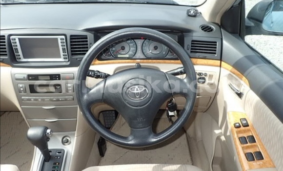 Acheter Occasion Voiture Toyota Runx Gris à Beitbridge, Matabeleland South Acheter Occasion Voiture Toyota Runx Gris à Beitbridge, Matabeleland South