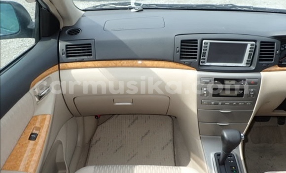 Acheter Occasion Voiture Toyota Runx Gris à Beitbridge, Matabeleland South Acheter Occasion Voiture Toyota Runx Gris à Beitbridge, Matabeleland South