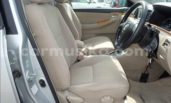 Acheter Occasion Voiture Toyota Runx Gris à Beitbridge, Matabeleland South Acheter Occasion Voiture Toyota Runx Gris à Beitbridge, Matabeleland South