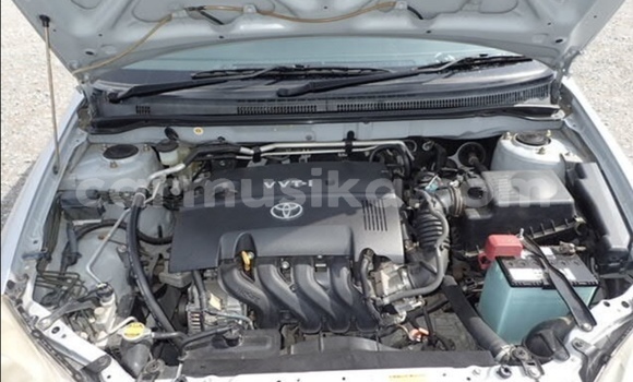 Acheter Occasion Voiture Toyota Runx Gris à Beitbridge, Matabeleland South Acheter Occasion Voiture Toyota Runx Gris à Beitbridge, Matabeleland South