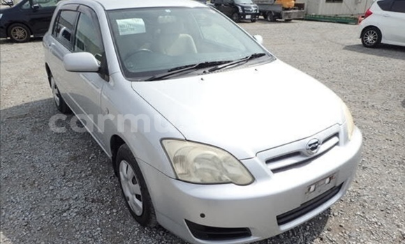 Acheter Occasion Voiture Toyota Runx Gris à Beitbridge, Matabeleland South Acheter Occasion Voiture Toyota Runx Gris à Beitbridge, Matabeleland South