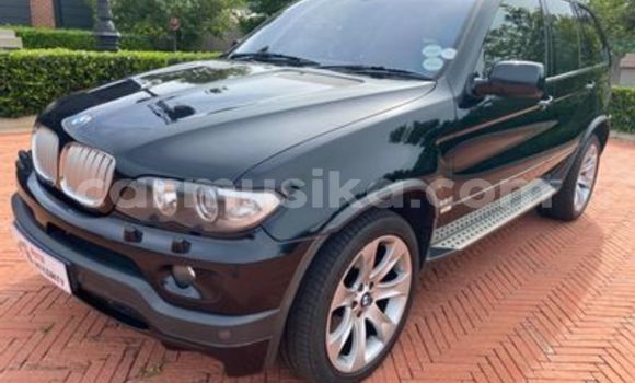 Buy Used BMW X5 Other Car in Beitbridge in Matabeleland South