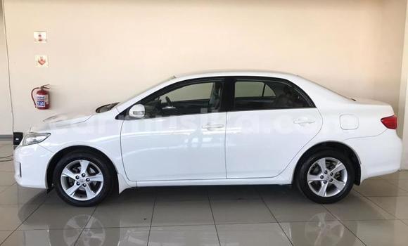 Buy Used Toyota Corolla White Car in Beitbridge in Matabeleland South
