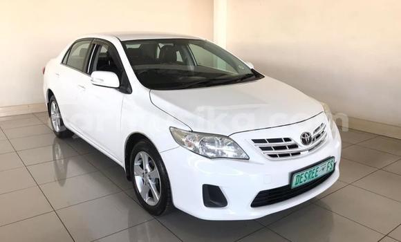 Tenga Tsaru Toyota Corolla Chena Mota in Beitbridge in Matabeleland South Tenga Tsaru Toyota Corolla Chena Mota in Beitbridge in Matabeleland South