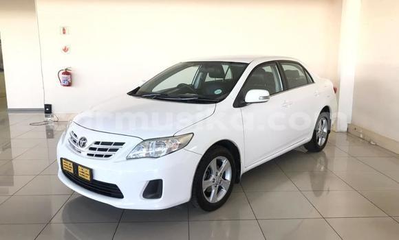 Tenga Tsaru Toyota Corolla Chena Mota in Beitbridge in Matabeleland South Tenga Tsaru Toyota Corolla Chena Mota in Beitbridge in Matabeleland South