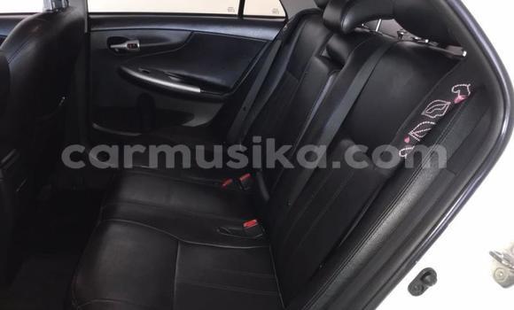 Tenga Tsaru Toyota Corolla Chena Mota in Beitbridge in Matabeleland South Tenga Tsaru Toyota Corolla Chena Mota in Beitbridge in Matabeleland South