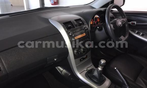 Tenga Tsaru Toyota Corolla Chena Mota in Beitbridge in Matabeleland South Tenga Tsaru Toyota Corolla Chena Mota in Beitbridge in Matabeleland South