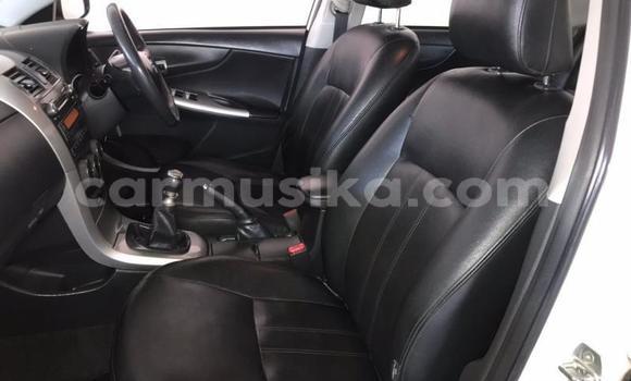 Tenga Tsaru Toyota Corolla Chena Mota in Beitbridge in Matabeleland South Tenga Tsaru Toyota Corolla Chena Mota in Beitbridge in Matabeleland South