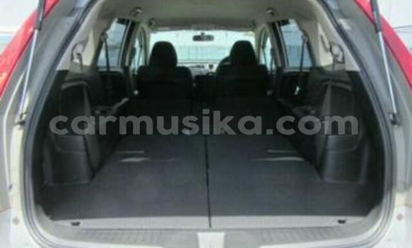 Tenga Tsaru Honda Stream Sirivha Mota in Beitbridge in Matabeleland South Tenga Tsaru Honda Stream Sirivha Mota in Beitbridge in Matabeleland South