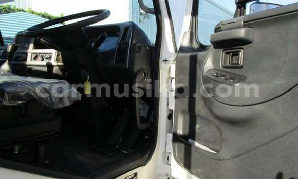 Tenga Tsaru Nissan UD Chena Rori in Beitbridge in Matabeleland South Tenga Tsaru Nissan UD Chena Rori in Beitbridge in Matabeleland South