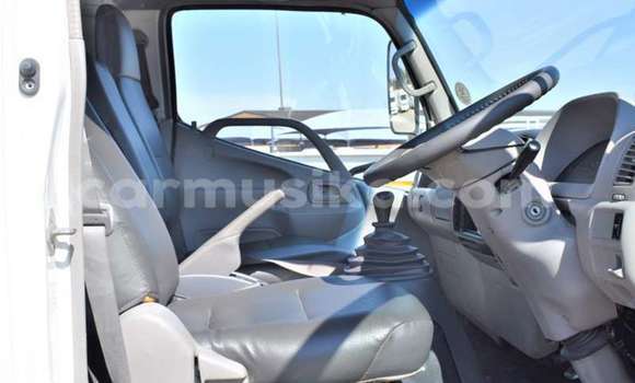 Tenga Tsaru Hino 300 Series Chena Rori in Beitbridge in Matabeleland South Tenga Tsaru Hino 300 Series Chena Rori in Beitbridge in Matabeleland South