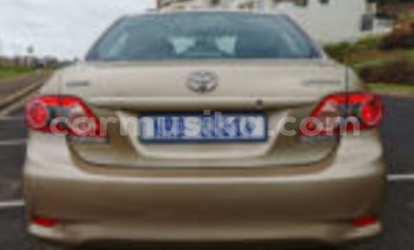 Tenga Tsaru Toyota Corolla Zvimwe Mota in Beitbridge in Matabeleland South Tenga Tsaru Toyota Corolla Zvimwe Mota in Beitbridge in Matabeleland South