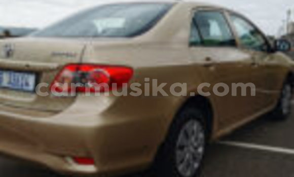 Tenga Tsaru Toyota Corolla Zvimwe Mota in Beitbridge in Matabeleland South Tenga Tsaru Toyota Corolla Zvimwe Mota in Beitbridge in Matabeleland South