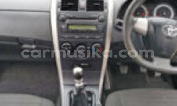 Tenga Tsaru Toyota Corolla Zvimwe Mota in Beitbridge in Matabeleland South Tenga Tsaru Toyota Corolla Zvimwe Mota in Beitbridge in Matabeleland South