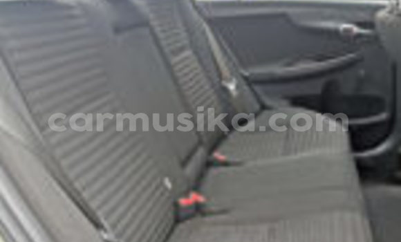 Tenga Tsaru Toyota Corolla Zvimwe Mota in Beitbridge in Matabeleland South Tenga Tsaru Toyota Corolla Zvimwe Mota in Beitbridge in Matabeleland South