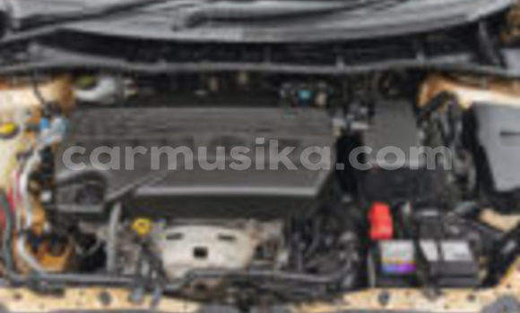 Tenga Tsaru Toyota Corolla Zvimwe Mota in Beitbridge in Matabeleland South Tenga Tsaru Toyota Corolla Zvimwe Mota in Beitbridge in Matabeleland South