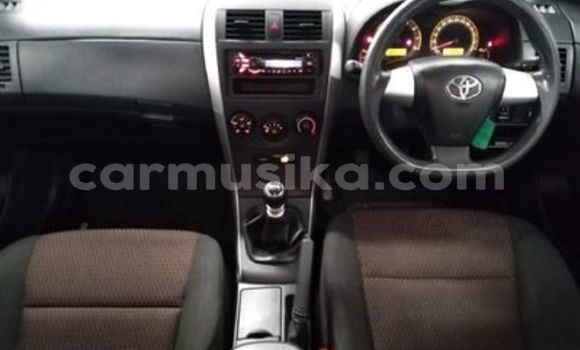 Tenga Tsaru Toyota Corolla Sirivha Mota in Beitbridge in Matabeleland South Tenga Tsaru Toyota Corolla Sirivha Mota in Beitbridge in Matabeleland South